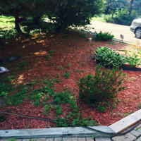 Laying down the Mulch